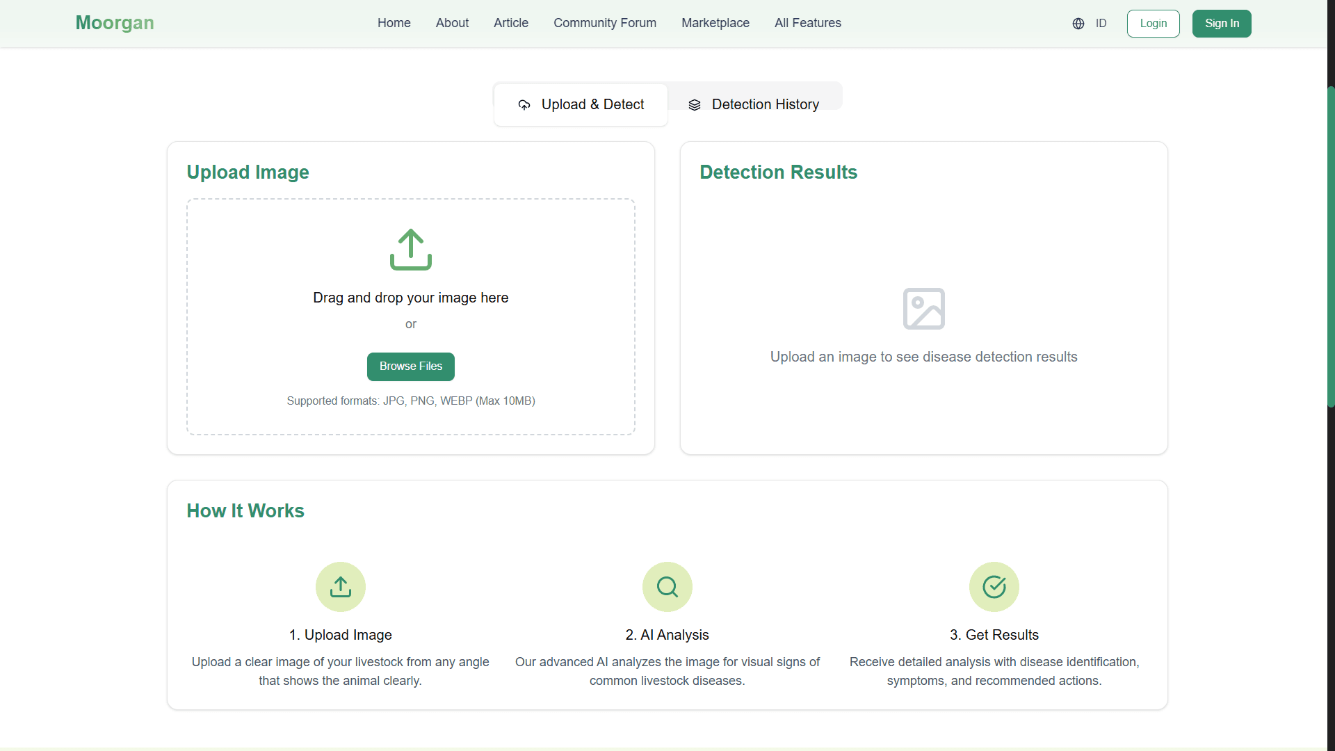 FMD Image Classification Page